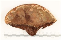 登錄號:F0037129藏品圖，第3張