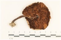 登錄號:F0037130藏品圖，第3張