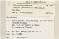 登錄號:F0037131藏品圖，第2張