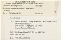 登錄號:F0037133藏品圖，第2張