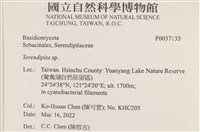 登錄號:F0037133藏品圖，第3張