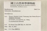登錄號:F0037134藏品圖，第3張