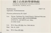 登錄號:F0037136藏品圖，第2張