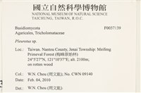 登錄號:F0037139藏品圖，第2張