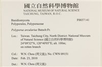 登錄號:F0037141藏品圖，第2張