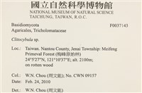 登錄號:F0037143藏品圖，第2張