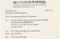 登錄號:F0037144藏品圖，第2張