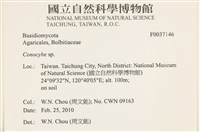 登錄號:F0037146藏品圖，第2張