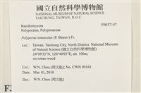 登錄號:F0037147藏品圖，第2張