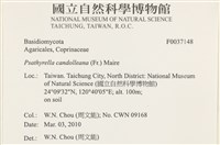 登錄號:F0037148藏品圖，第2張