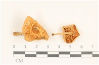 登錄號:F0037149藏品圖，第1張