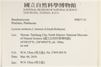 登錄號:F0037151藏品圖，第2張