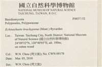 登錄號:F0037152藏品圖，第2張