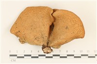 登錄號:F0037152藏品圖，第1張