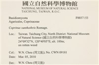 館號:F0037153藏品圖，第2張