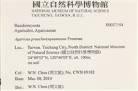 登錄號:F0037154藏品圖，第2張