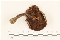 登錄號:F0037154藏品圖，第3張