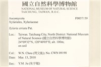 登錄號:F0037159藏品圖，第2張