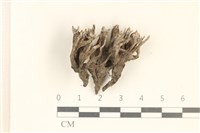 登錄號:F0037159藏品圖，第1張