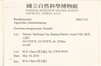 登錄號:F0037162藏品圖，第2張