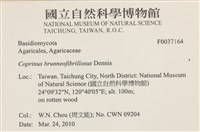 登錄號:F0037164藏品圖，第2張