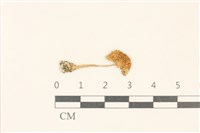 登錄號:F0037168藏品圖，第1張