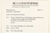登錄號:F0037171藏品圖，第2張