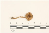 登錄號:F0037171藏品圖，第1張