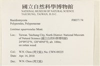 登錄號:F0037174藏品圖，第2張