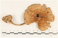 登錄號:F0037176藏品圖，第1張
