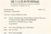 登錄號:F0037178藏品圖，第2張