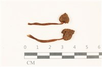 登錄號:F0037180藏品圖，第1張