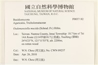 登錄號:F0037182藏品圖，第2張