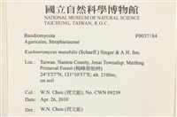 登錄號:F0037184藏品圖，第2張