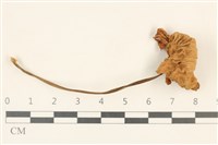 登錄號:F0037188藏品圖，第1張