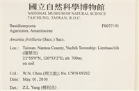 登錄號:F0037191藏品圖，第2張
