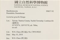 登錄號:F0037192藏品圖，第2張