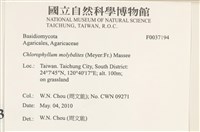 登錄號:F0037194藏品圖，第2張