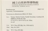 登錄號:F0037195藏品圖，第2張