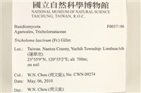 登錄號:F0037196藏品圖，第2張