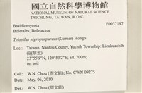 登錄號:F0037197藏品圖，第2張