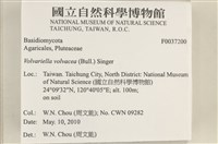 登錄號:F0037200藏品圖，第2張
