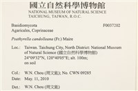 登錄號:F0037202藏品圖，第2張