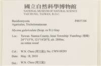登錄號:F0037206藏品圖，第2張