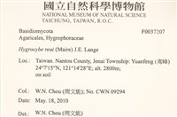 登錄號:F0037207藏品圖，第2張