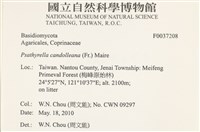 登錄號:F0037208藏品圖，第2張