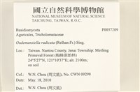 登錄號:F0037209藏品圖，第2張