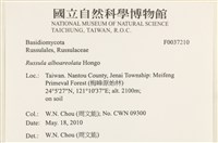 登錄號:F0037210藏品圖，第2張