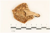 登錄號:F0037210藏品圖，第3張