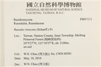 登錄號:F0037211藏品圖，第2張